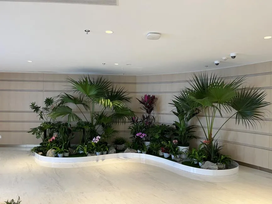 揭秘宁波江北花木出租价格，不容错过！